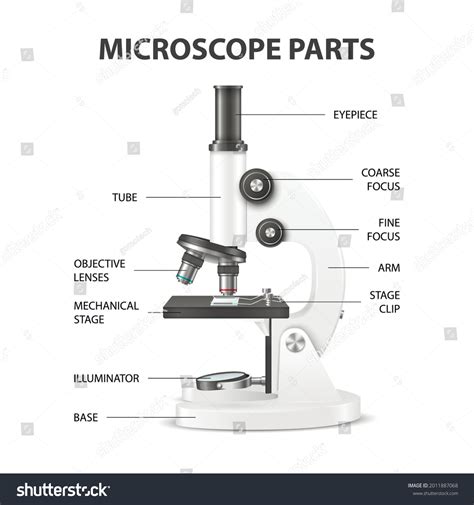 7,217 Microscope Parts Images, Stock Photos, and Vectors | Shutterstock