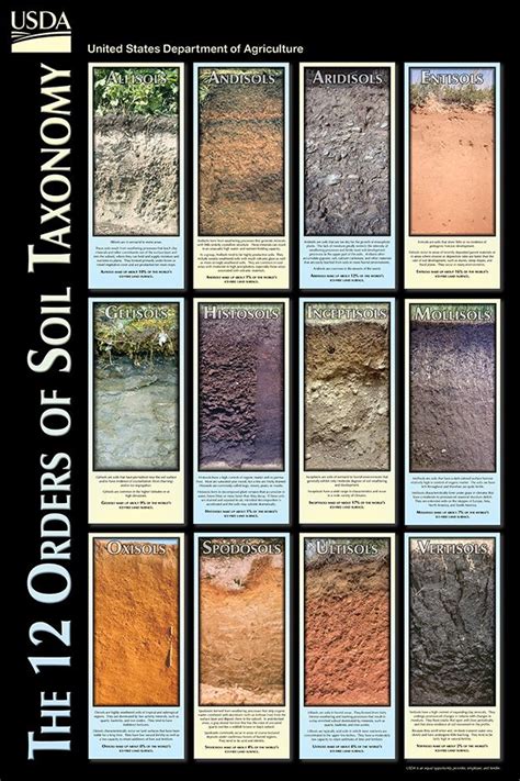 The Twelve Orders Of Soil Taxonomy Nrcs Soils Artofit