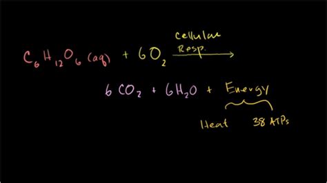 Balanced Symbol Equation For Aerobic Respiration - Tessshebaylo