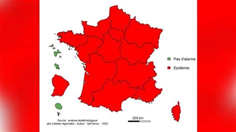 L Pid Mie De Grippe Se Poursuit Et Touche D Sormais Toute La France