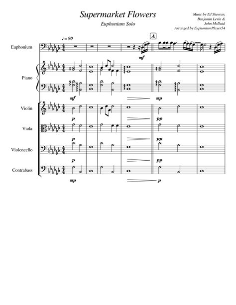 Supermarket Flowers Sheet music for Piano, Euphonium, Contrabass ...