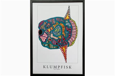 Klumpfisk 43 5x31 5 cm Fisk og havdyr Jesper Nørgaard