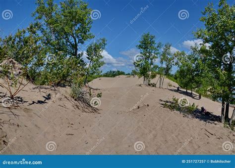 Dunes Beach Sand Dunes at Sandbanks Provincial Park Stock Image - Image ...