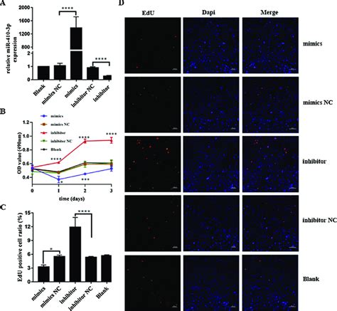 Effects Of MiR 410 3p On The Proliferation Of RA FLSs A At 48 H