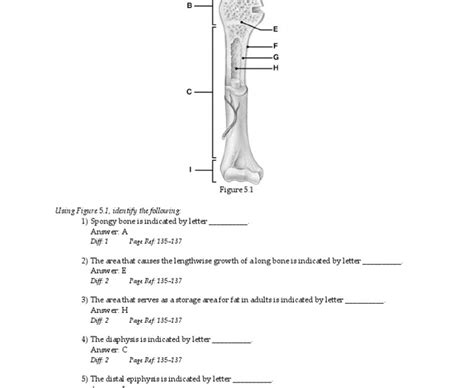 Chapter 5 The Skeletal System Worksheet Answer Key