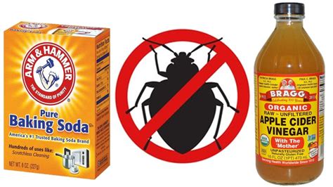 7 Ways To Kill Pests With Baking Soda And Vinegar