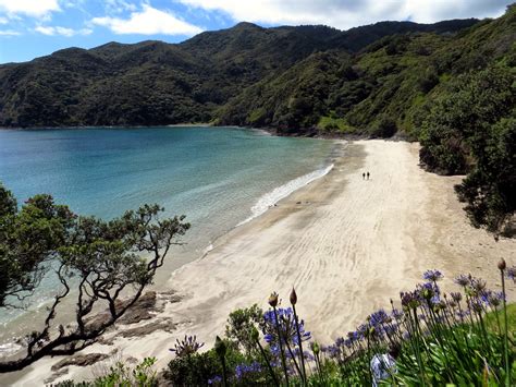 A Dinghy Ride to Oke Bay (Bay of Islands, New Zealand) – Two At Sea
