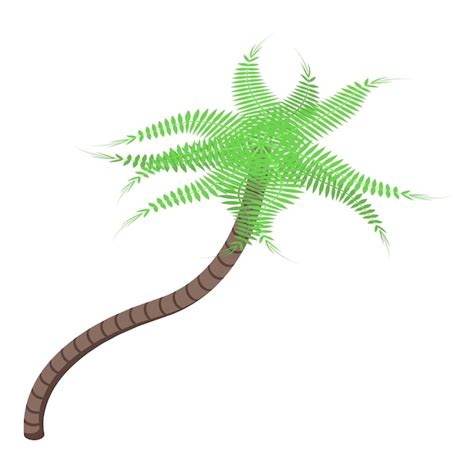 Premium Vector Plant Palm Tree Icon Isometric Of Plant Palm Tree