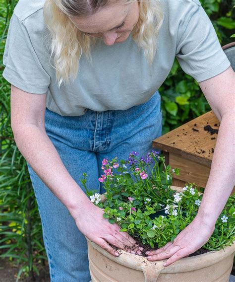 How to plant flowers in pots: step-by-step guide to patio containers ...