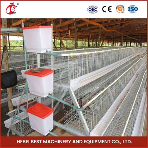 Bestchickencage China Layer Cage Poultry House Manufacturer Odm Custom