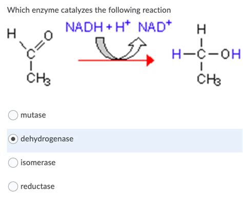 Solved What Type Of Enzyme Catalyzes The Following Reaction Chegg