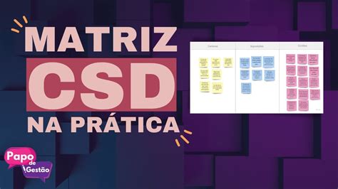 Explicando Matriz Csd O Que Saiba Como Aplicar Esse Exemplo