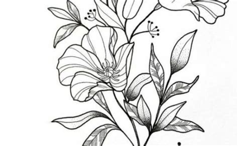 1001 Ideas De Dibujos De Flores Faciles Y Bonitos Flores Faciles De Dibujar Flores Theme Loader