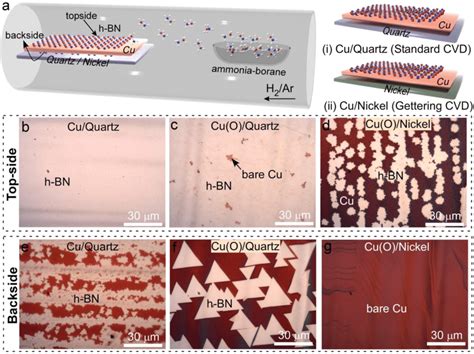 APCVD Growth Of H BN On Cu A Schematic Of APCVD Of H BN On Cu Foil