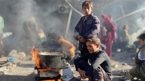 40 Peratus Penduduk Gaza Berisiko Kebuluran Dahsyat Scoop