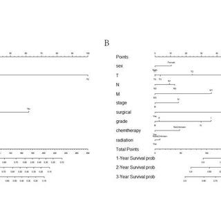 Nomograms Predicting And Year Os A And Css B Of Patients