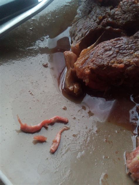 Is This A Fkn Parasite In My Steak Rwhatsthisbug