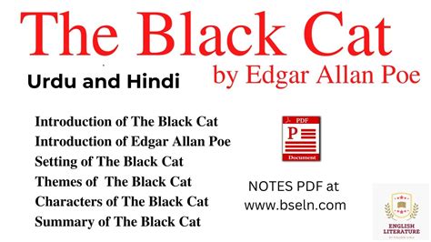 The Black Cat Summary The Black Cat Short Story Explanation The Black