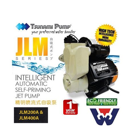 Tsunami Water Pump Jlm A Jlm A Home Pump Intelligent Automatic