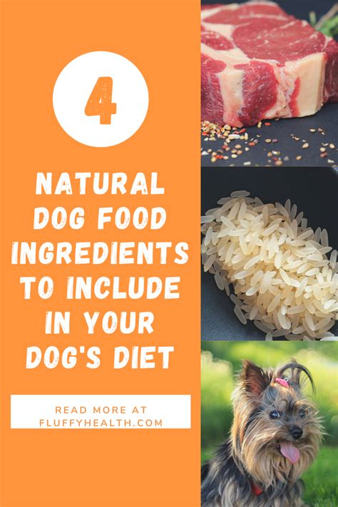 Natural Dog Food Ingredients To Include In Your Dog's Diet | Fluffyhealth