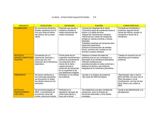 Solution C Lula Organelos Tipos Studypool