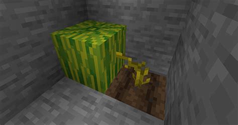 Why Aren T My Melons Growing Survival Mode Minecraft Java Edition Minecraft Forum