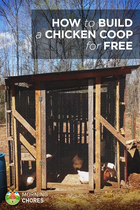 How To Build A Practically Free Chicken Coop In Easy Steps