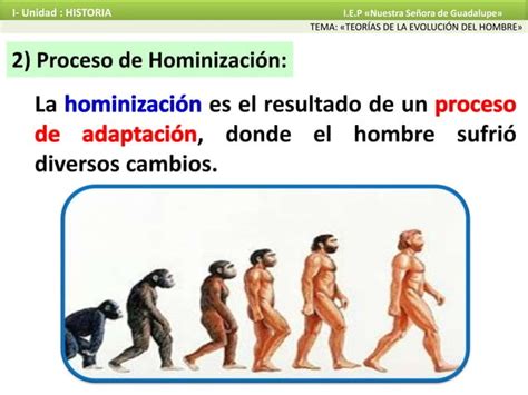 Evolución Del Hombre Ppt