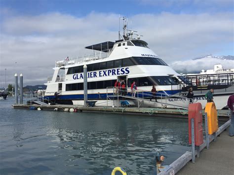 Our Day on an Alaska Glacier and Wildlife Cruise - Everyday Alaska