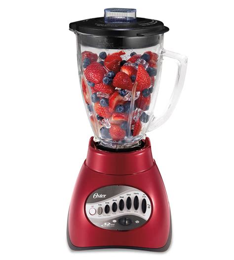 Top 10 Oster Precise Blender 300 Home Previews