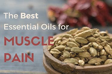 Best Essential Oils for Muscle Pain - Natural Muscle Pain Relief