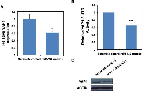 Decreased Expression Of Mir 132 In Crc Tissues And Its Inhibitory