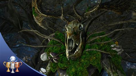 The Witcher 3 Woodland Spirit Missable Trophy In The Heart Of The