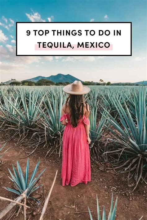 Top Things To Do In Tequila Jalisco A Taste Of Koko