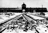 Photo Blick Auf Das Torhaus Des Konzentrationslagers Auschwitz