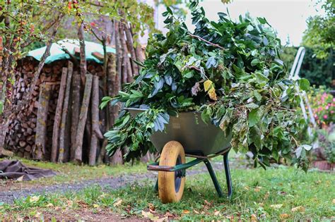 Wheelbarrows Wheelbarrow Green Cut Free Photo On Pixabay