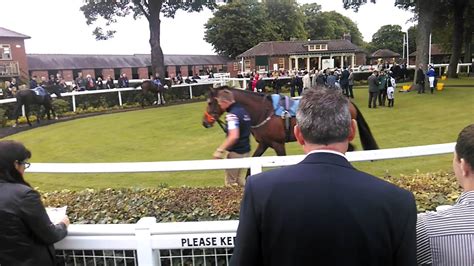 Ripon Races Paddock Youtube