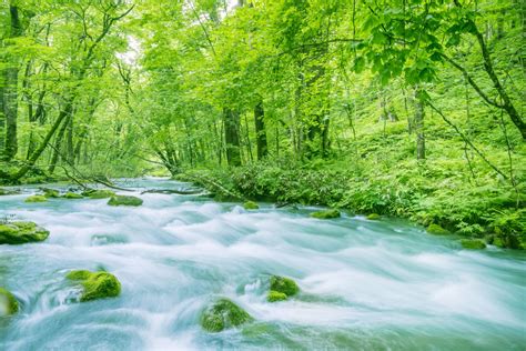 初夏の新緑絶景を。日本全国の“美しい新緑がある”絶景スポット7選 Retrip リトリップ