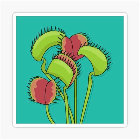 Venus Flytrap Plant Sticker For Sale By Broadwayfan23 Redbubble