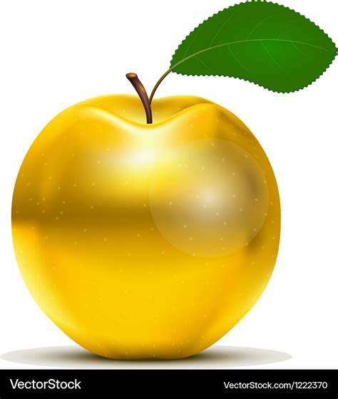 Golden apple Royalty Free Vector Image - VectorStock