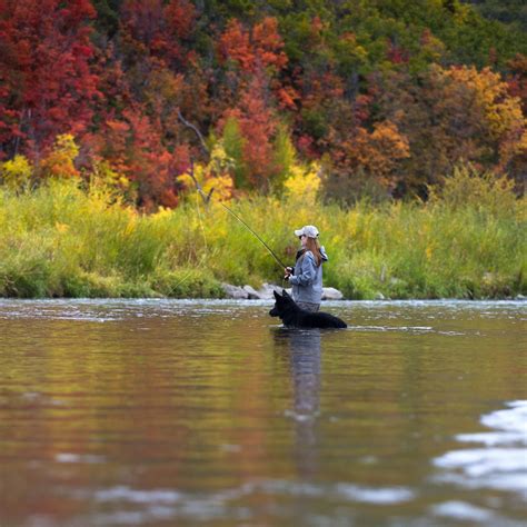 Fall Fly Fishing Utah Jeremy Allan Utah Fly Fishing