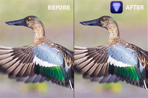 Topaz Photo AI Review With Before After Images 2024 PhotographyAxis