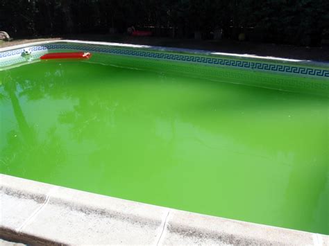 Why Is My Pool Green And Cloudy Even After Shocking Dengarden