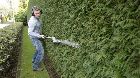 Best Pole Hedge Trimmer