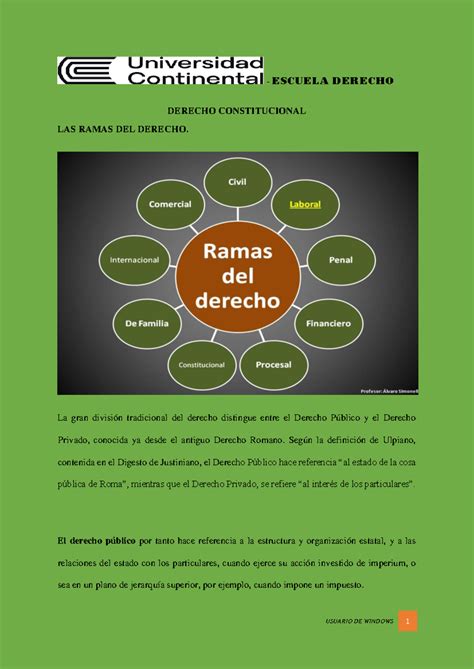 Ramas Del Derecho Escuela Derecho Derecho Constitucional Las Ramas Del Derecho La Gran