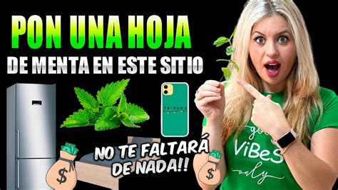 Pon Una Hoja De MENTA Debajo De ESTO Y MIRA Lo Que PASA TE VA A