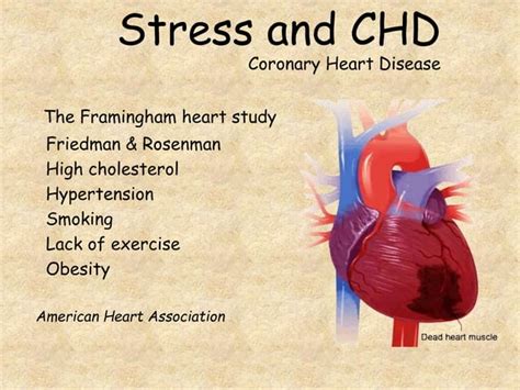 120. causes and effects of stress | PPT