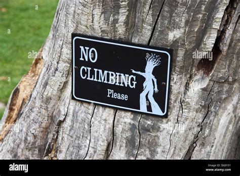 No Climbing Sign On Old Tree Stump Stock Photo Alamy