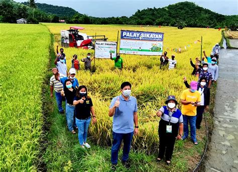 Inbred Palay Varieties and Machinery Introduced to step up Rice ...