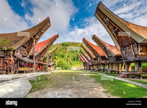 Traditional Toraja village, Rantepao, Tana Toraja, Sulawesi, Indonesia Stock Photo - Alamy